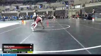 65 lbs Semis & 1st Wrestleback (8 Team) - Dominic Larson, Worthington vs Reese Schild, Chatfield