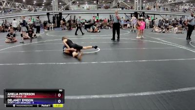 90 lbs Round 4 (8 Team) - Amelia Peterson, PA West Black vs Delaney Emison, 5forty Lady Brawlers