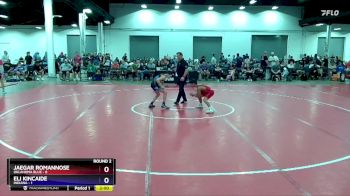 92 lbs Round 2 (8 Team) - Jaegar RomanNose, Oklahoma Blue vs Eli Kincaide, Indiana