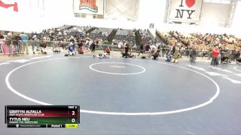 93 lbs Cons. Round 2 - Griffyn Alfalla, Deep Roots Wrestling Club vs Tytus Neu, Shaker You Wrestling