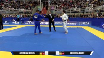 Julio Souza Arantes vs Leandro Lima De Souza 2025 Brasileiro Jiu-Jitsu IBJJF