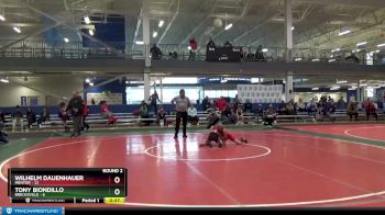 75 lbs Round 2 (8 Team) - Tony Biondillo, Brecksville vs Wilhelm Dauenhauer, Mentor