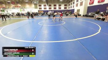 141 lbs Cons. Round 4 - Anthony Caruso, Midway University vs Noah Parmelee, Northwestern (Iowa)