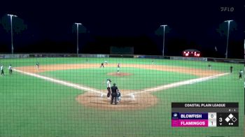 Replay: Home - 2024 Blowfish vs Flamingos - DH | Jun 17 @ 8 PM