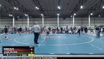 83 lbs Finals (8 Team) - Ryder Williams, Big Cat vs Burke Blue, Hammer Heads