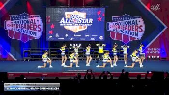 Texas Wolverine All Stars - Diamond Blades [2026 L2.1 Senior - PREP - D2] 2026 NCA All-Star National Championship