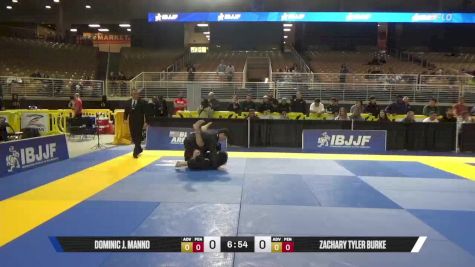 Zachary Tyler Burke vs Dominic J. Manno 2025 Pan Jiu Jitsu IBJJF Championship