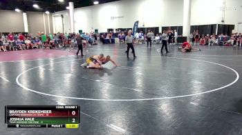 132 lbs Quarters & Wb (16 Team) - Joshua Hale, Team Diamond Fish Pink vs Brayden Kreikemeier, Capitian Nebraska (A Team)