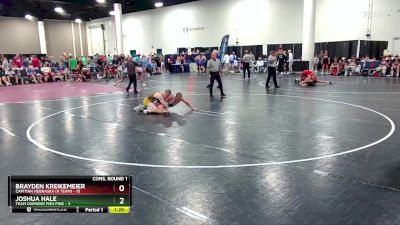 132 lbs Quarters & Wb (16 Team) - Joshua Hale, Team Diamond Fish Pink vs Brayden Kreikemeier, Capitian Nebraska (A Team)