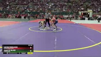 D1-113 lbs Quarterfinal - Jacob Ferguson, Austintown-Fitch vs Marcus Blaze, Perrysburg