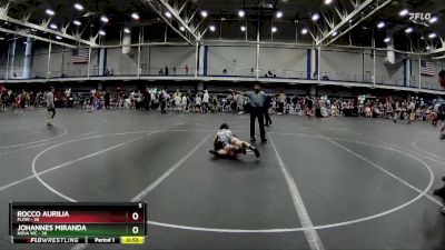 88 lbs Round 6 (10 Team) - Rocco Aurilia, FLOW vs Johannes Miranda, NOVA WC