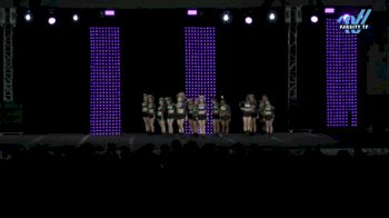 Wicked Elite - Savage [2025 L3 Senior Coed Day 2] 2025 ASC King of the Jungle Schaumburg Showdown