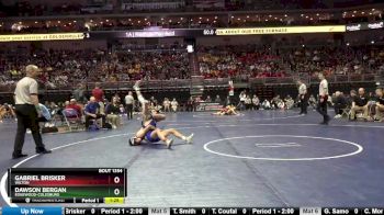 1A-120 lbs Quarterfinal - Dawson Bergan, Edgewood-Colesburg vs Gabriel Brisker, Wilton