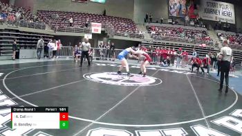 Champ. Round 1 - Addison Call, Bear River vs Brooklyn Bandley, Dixie