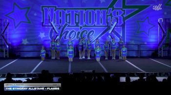The Stingray Allstars - Flames [2025 L1 Youth Day 1] 2025 Nation's Choice Dance Grand Championship & Cheer Showdown