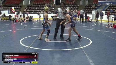 91 lbs Round 2 - Linden Mullen, Vicksburg vs Gavin Lamers, Wrightstown