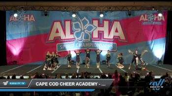Cape Cod Cheer Academy - Great White [2023 L3 Senior - D2 Day 1] 2023 Aloha Worcester Showdown