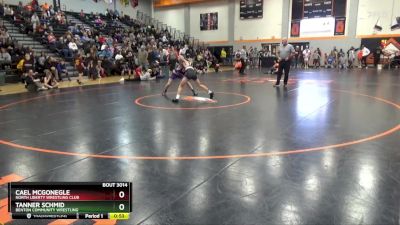 N-9 lbs Quarterfinal - Tanner Schmid, Benton Community Wrestling vs Cael McGonegle, North Liberty Wrestling Club