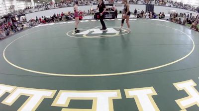 95 lbs Brooklyn Henry, Pennsylvania Blue vs Penelope Ayala, Wisconsin