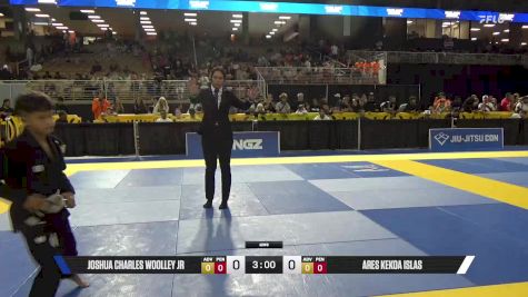 Ares Kekoa Islas vs Joshua Charles Woolley Jr 2025 Pan Kids Jiu-Jitsu IBJJF Championship