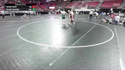 D2-215 lbs Quarterfinal - Blake Thiry, Prairie Du Chien vs Elliot Havlish, Osceola