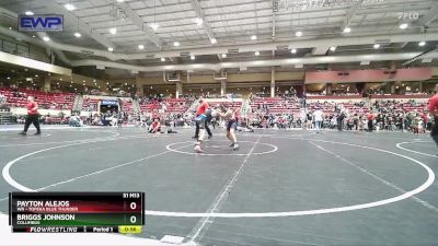 95 lbs Quarterfinal - Briggs Johnson, Columbus vs Payton Alejos, WR - Topeka Blue Thunder