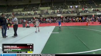 65 lbs Round 3 - Kamden Gallus, Pursuit Wresting Minnesota vs Charlie Staudacher, Winona Cotter