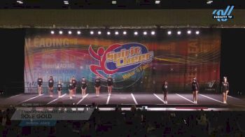 Brandon All-Stars Jacksonville - Rose Gold [2023 L2 Junior Day 1] 2023 Spirit Cheer Dance Grand Nationals & Cheer Nationals