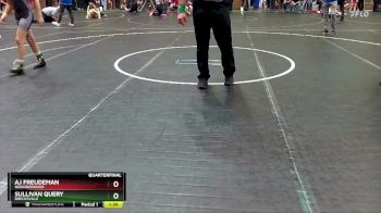 105 lbs Quarterfinal - Sullivan Query, Brecksville vs Aj Freudeman, Neighborhood
