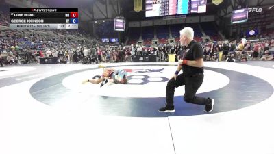 165 lbs Champ. Rd Of 128 - Luke Hoag, MN vs George Johnson, NY