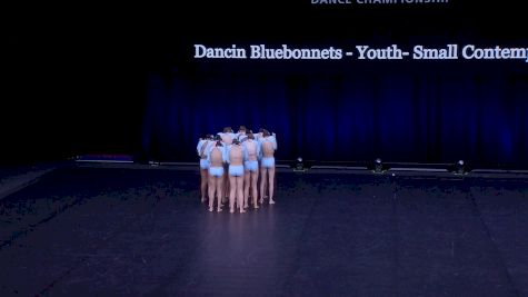 Dancin Bluebonnets - Youth- Small Contemporary [2021 Youth Contemporary / Lyrical - Small Semis] 2021 The Dance Summit