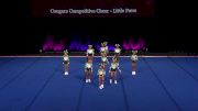 Cougars Competitive Cheer - Little Paws [2022 L1 Performance Rec - 6Y (NON) - Small Semis] 2022 The Quest