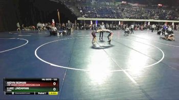 132 lbs Cons. Round 3 - Aidyn Roman, CRK Junior Cougar Wrestling Club vs Luke Lindaman, Iowa