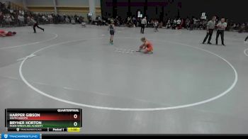 75-82 lbs Quarterfinal - Harper Gibson, South Dakota vs Bryher Horton, Moen Wrestling Academy