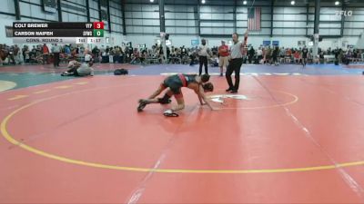 106 lbs Cons. Round 2 - Colt Brewer, VA Team Predator vs Carson Naifeh, Sly Fox Wrestling Club