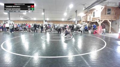 125 lbs Round Of 16 - Damien Mitchell, Tobyhanna vs Ethan Nothstein, Lehighton
