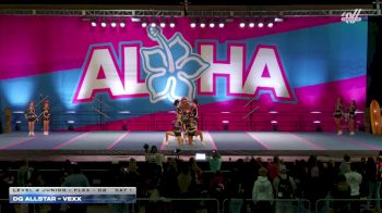 DG Allstar - Vexx [2025 L4 Junior - Flex - D2 Day 1] 2025 Aloha Gatlinburg Showdown