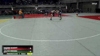 125 lbs Quarterfinals (8 Team) - Madden Schmitt, Rocori vs Colton Dressen, GSL