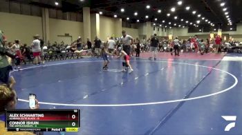 45 lbs Round 7 (8 Team) - Alex Schwarting, Alabama Elite Black vs Connor Ishuin, The Untouchables