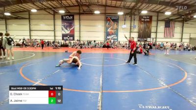 120 lbs Rr Rnd 3 - Gavin Cheek, Team Nebraska Silver vs Avery Jaime, PSF