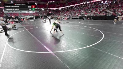 165 lbs Champ. Rd Of 16 - Maximus Davis, Green Bay Preble vs Finn Grauwels, Middleton