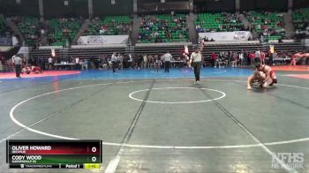 6A 190 lbs Quarterfinal - Oliver Howard, Decatur vs CODY WOOD, Gardendale Hs