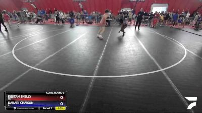 136 lbs Cons. Round 3 - Destan Skelly, MN vs Dakari Chaison, IL