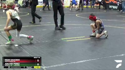 60 lbs Champ. Round 2 - Adilynn Perez, Wildcat WC - Lakeview vs Noah Saucedo, South Haven WC