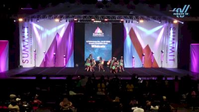 Cougars Competitive Cheer - Wildcatz [2024 L3 Performance Rec - 10-18Y (NON) Day 1] 2024 The Recreational Summit