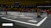 Raphael Amaral vs Jean Marc Tonnard 2024 ADCC South American Trials 1