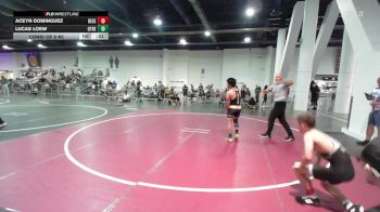 116 lbs Consi Of 8 #2 - Aceyn Dominguez, Desert Dogs WC vs Lucas Loew, Other Team