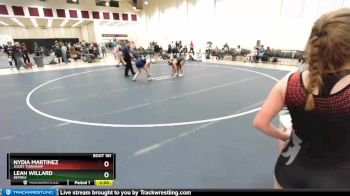 165 lbs Semifinal - Leah Willard, Bemidji vs Nydia Martinez, Joliet Township