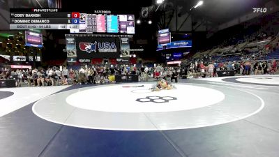 94 lbs Quarters - Cody Bakhsh, DE vs Dominic DeMarco, IL