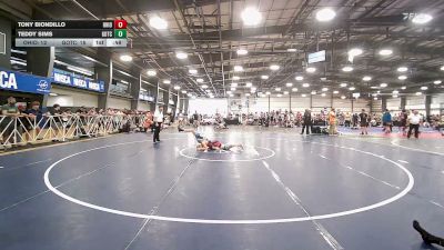 112 lbs Quarterfinal - Tony Biondillo, Ohio United - MS vs Teddy Sims, Team Gotcha - MS
